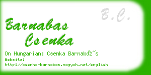 barnabas csenka business card